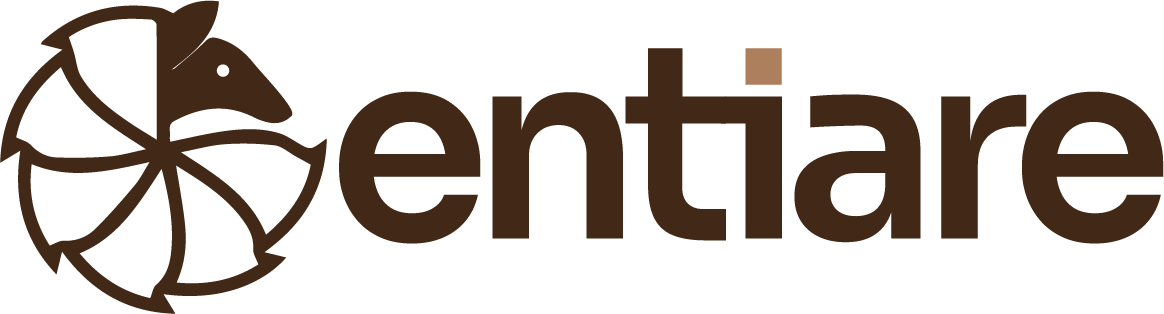 Smart Imóveis Brasil - Sua imobiliária em Belo Horizonte